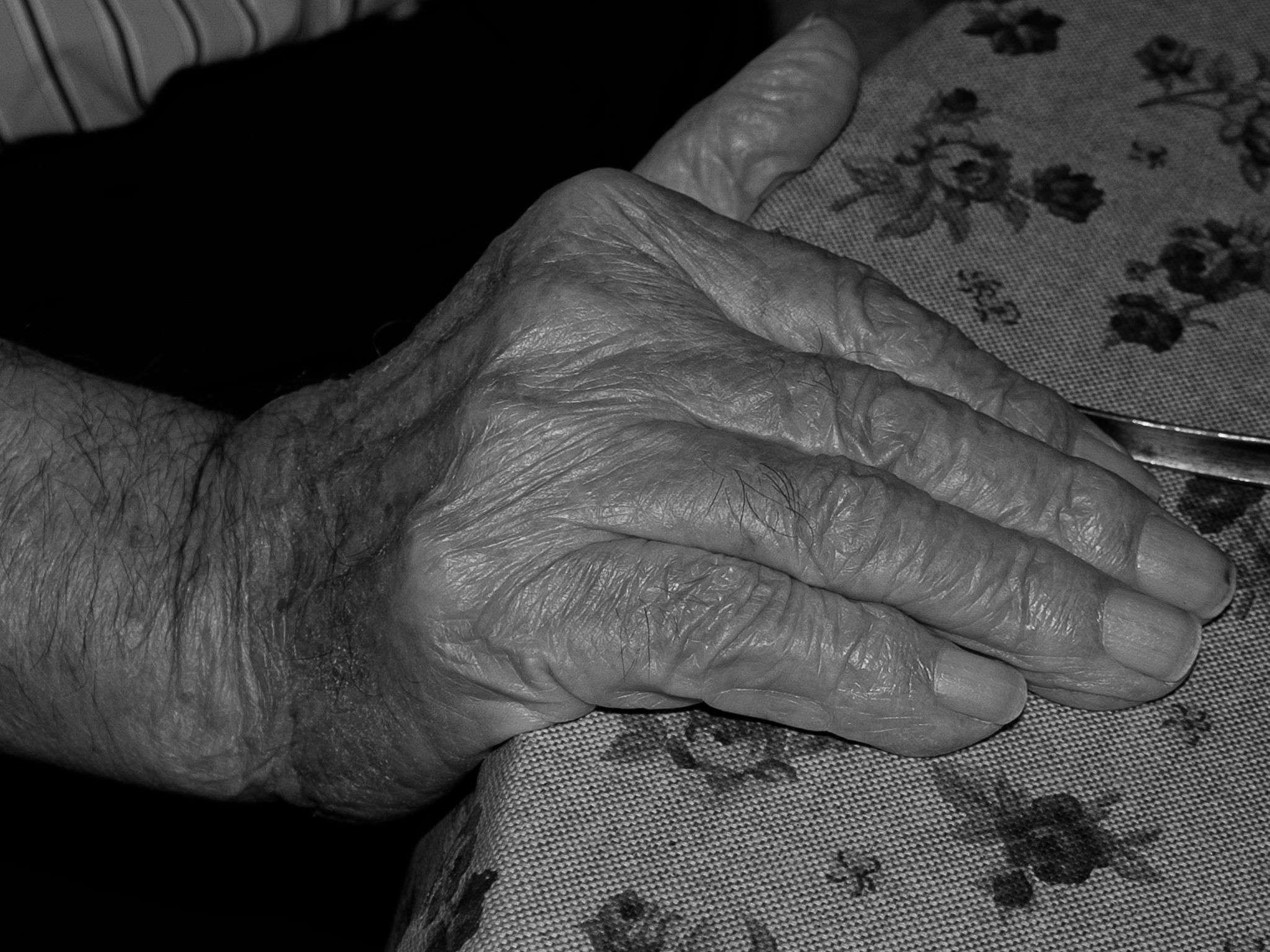 Ramón 1 30X22,5